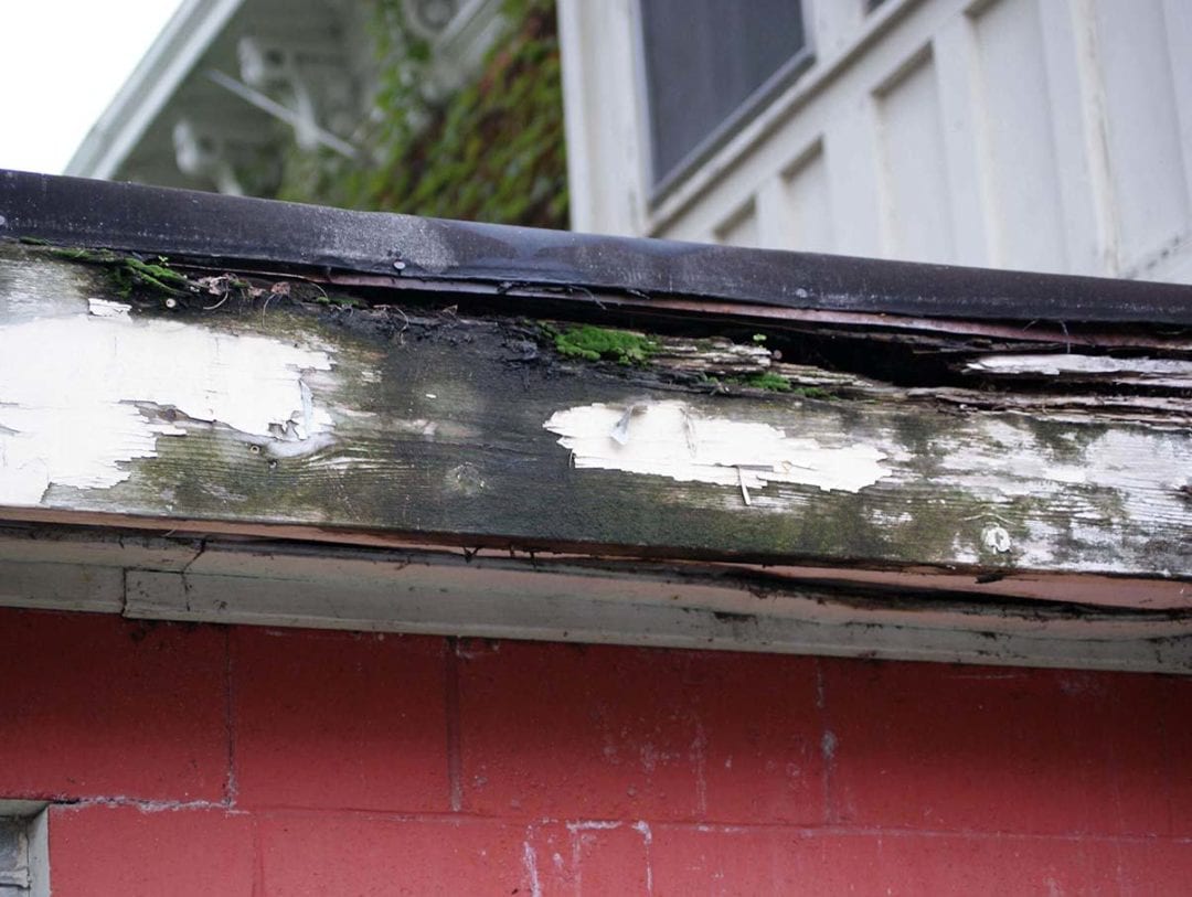 Gutter backups can cause the wood on your house to rot and decay.