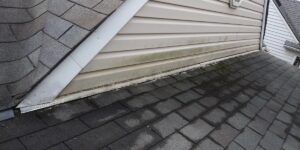 Royal Oak Roofing Install, Certainteed Landmark Pro Moire Black.