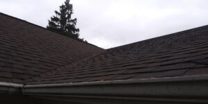 Livonia Michigan Roofing Install, Certainteed Landmark Pro Heather Blend.