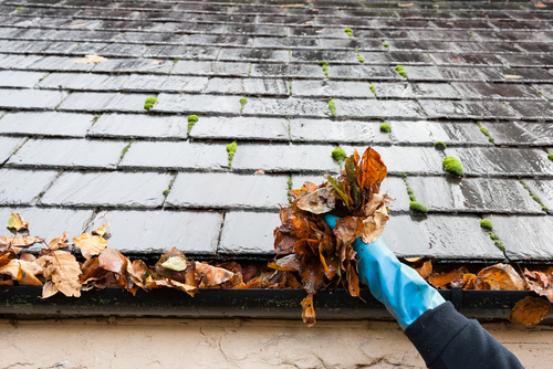 Gutter-Installation - clogged and water not draining are some reasons to get new gutters