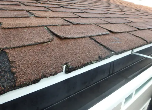 Do I Need a New Roof - Modern Pros Can Help you Decide
