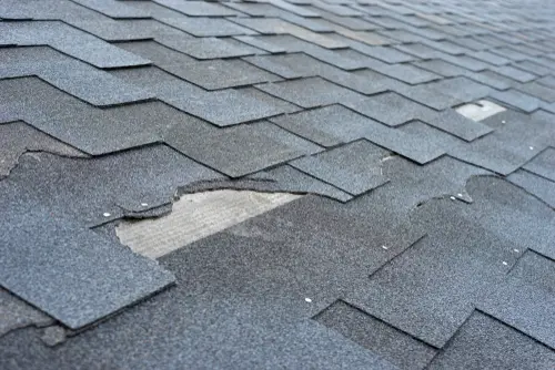 Areas That May Need Roof Maintenance - The Modern Pros