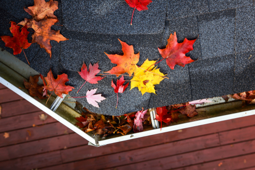 roof maintenance the modern pros