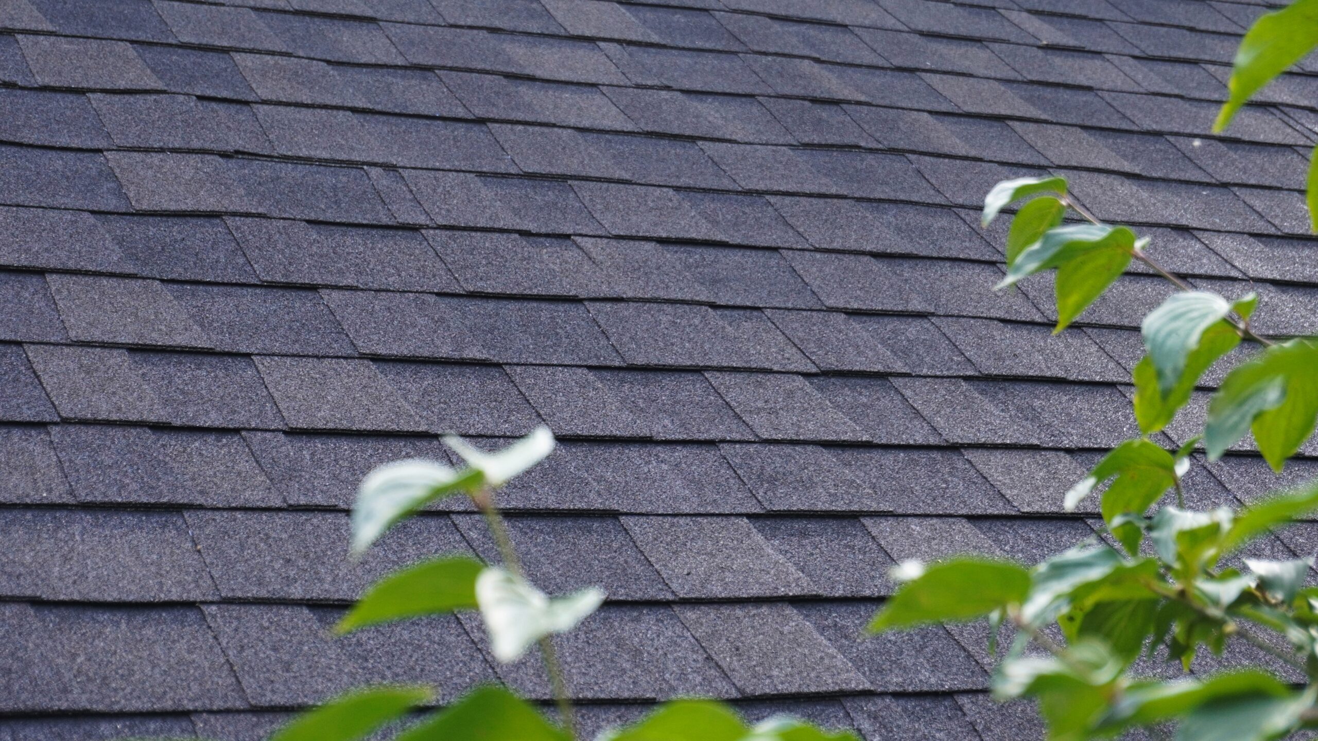 Near Me, Livonia MI The Modern Pros, Roofing, Siding, Gutters, Painting, Asbestos Removal, Home Remodeling, Basements, Kitchen, Bath, Full Service Contractor, Trusted, Near, Northville, Novi, MI